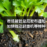 市场监管总局发布通知 加快推动起重机等特种设备更新(图4) 市场监管总局发布通知 加快推动起重机等特种设备更新(图4)