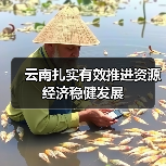 云南扎实有效推进资源经济稳健发展（图3）