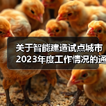 关于智能建造试点城市2023年度工作情况的通报(图3) 关于智能建造试点城市2023年度工作情况的通报(图3)