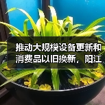 推动大规模设备更新和消费品以旧换新,阳江市发布实施方案(图2) 推动大规模设备更新和消费品以旧换新,阳江市发布实施方案(图2)
