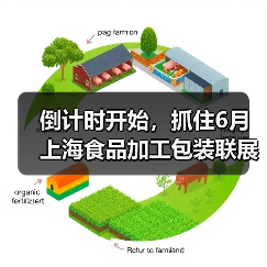 2024食品加工包装机械行业盛会 全球展商齐聚上海