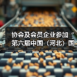 2024华北橡塑包装展启幕，推动绿色发展