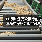 终极剧透|万众期待的长三角电子盛会即将开幕！（图3）