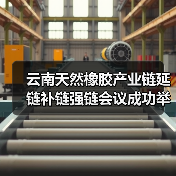 云南天然橡胶产业链延链补链强链会议成功举办(图4) 云南天然橡胶产业链延链补链强链会议成功举办(图4)