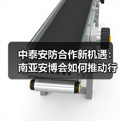 中泰安防合作新机遇：南亚安博会如何推动行业深度交流？（图2）