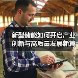 新型储能如何开启产业创新与高质量发展新篇章?(图2) 新型储能如何开启产业创新与高质量发展新篇章?(图2)