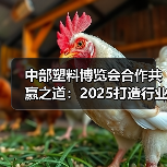 中部塑料博览会合作共赢之道:2025打造行业标杆(图4) 中部塑料博览会合作共赢之道:2025打造行业标杆(图4)