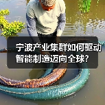 宁波产业集群如何驱动智能制造迈向全球？