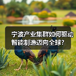 宁波产业集群如何驱动智能制造迈向全球？（图4）
