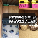 一台挖掘机都没卖出去,我反而看到了工程机械市场复苏的信号(图2) 一台挖掘机都没卖出去,我反而看到了工程机械市场复苏的信号(图2)