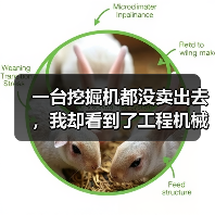 一台挖掘机都没卖出去,我却看到了工程机械市场复苏的信号(图1) 一台挖掘机都没卖出去,我却看到了工程机械市场复苏的信号(图1)