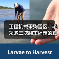 工程机械采购雷区：老采购三次翻车揭示的真相（图4）