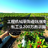 工程机械采购避坑指南:包工头200万教训揭秘(图4) 工程机械采购避坑指南:包工头200万教训揭秘(图4)