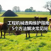 工程机械选购维护指南：5个方法解决常见问题