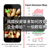 风险投资基金如何改变企业命运？一组数据揭示87.3%的颠覆性创新背后推手