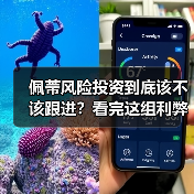 佩蒂风险投资到底该不该跟进？看完这组利弊权衡再决定