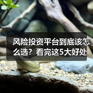 风险投资平台到底该怎么选?看完这5大好处与4个致命风险再决定(图1) 风险投资平台到底该怎么选?看完这5大好处与4个致命风险再决定(图1)