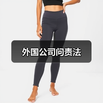外国公司问责法(图1) 外国公司问责法(图1)