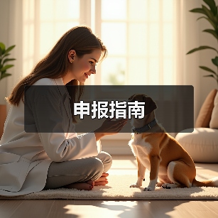 申报指南