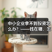 中小企业拿不到投资怎么办？——钱在哪，怎么要，这四步帮你理清楚（图1）