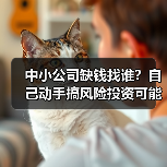 中小公司缺钱找谁?自己动手搞风险投资可能吗?(图4) 中小公司缺钱找谁?自己动手搞风险投资可能吗?(图4)
