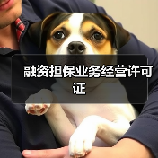 融资担保业务经营许可证(图2) 融资担保业务经营许可证(图2)