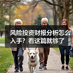 风险投资财报分析怎么入手？看这篇就够了（图3）