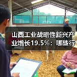 山西工业战略性新兴产业增长19.5%：哪些行业领跑？