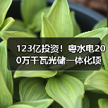 123亿投资!粤水电200万千瓦光储一体化项目如何提升清洁能源竞争力(图3) 123亿投资!粤水电200万千瓦光储一体化项目如何提升清洁能源竞争力(图3)