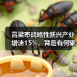 吕梁市战略性新兴产业增速15%,背后有何驱动?(图1) 吕梁市战略性新兴产业增速15%,背后有何驱动?(图1)
