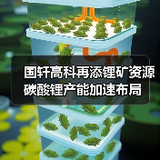 国轩高科再添锂矿资源 碳酸锂产能加速布局(图2) 国轩高科再添锂矿资源 碳酸锂产能加速布局(图2)