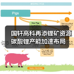 国轩高科再添锂矿资源 碳酸锂产能加速布局(图4) 国轩高科再添锂矿资源 碳酸锂产能加速布局(图4)