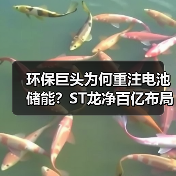 环保巨头为何重注电池储能?ST龙净百亿布局引关注(图4) 环保巨头为何重注电池储能?ST龙净百亿布局引关注(图4)