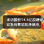 禾迈股份14.5亿投建储能系统智能制造基地，如何布局未来能源？