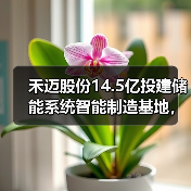 禾迈股份14.5亿投建储能系统智能制造基地,如何布局未来能源?(图3) 禾迈股份14.5亿投建储能系统智能制造基地,如何布局未来能源?(图3)