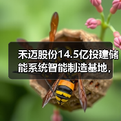 禾迈股份14.5亿投建储能系统智能制造基地,如何布局未来能源?(图4) 禾迈股份14.5亿投建储能系统智能制造基地,如何布局未来能源?(图4)