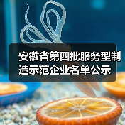 安徽省第四批服务型制造示范企业名单公示(图1) 安徽省第四批服务型制造示范企业名单公示(图1)