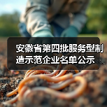 安徽省第四批服务型制造示范企业名单公示(图3) 安徽省第四批服务型制造示范企业名单公示(图3)