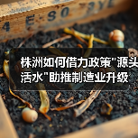株洲如何借力政策 株洲如何借力政策
