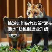 株洲如何借力政策 株洲如何借力政策
