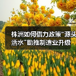 株洲如何借力政策 株洲如何借力政策