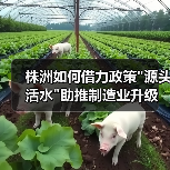 株洲如何借力政策 株洲如何借力政策