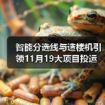 智能分选线与造楼机引领11月19大项目投运(图2) 智能分选线与造楼机引领11月19大项目投运(图2)