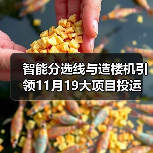 智能分选线与造楼机引领11月19大项目投运(图3) 智能分选线与造楼机引领11月19大项目投运(图3)