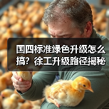 国四标准绿色升级怎么搞？徐工升级路径揭秘