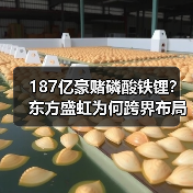 187亿豪赌磷酸铁锂？东方盛虹为何跨界布局？（图2）