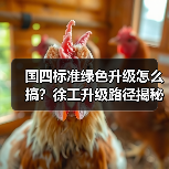 国四标准绿色升级怎么搞？徐工升级路径揭秘（图2）