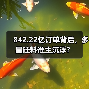 842.22亿订单背后,多晶硅料谁主沉浮?(图2) 842.22亿订单背后,多晶硅料谁主沉浮?(图2)