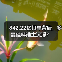 842.22亿订单背后,多晶硅料谁主沉浮?(图3) 842.22亿订单背后,多晶硅料谁主沉浮?(图3)
