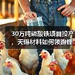 30万吨磷酸铁项目投产,天赐材料如何领跑锂电赛道?(图2) 30万吨磷酸铁项目投产,天赐材料如何领跑锂电赛道?(图2)